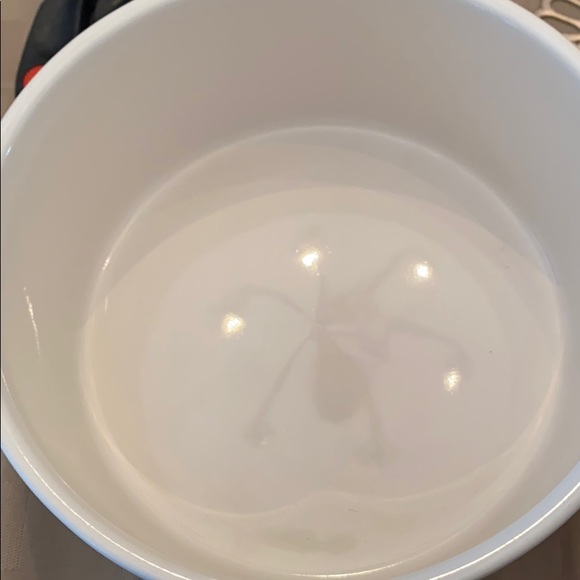 Rae Dunn 6 inch dog bowls brand never used - Picture 4 of 7